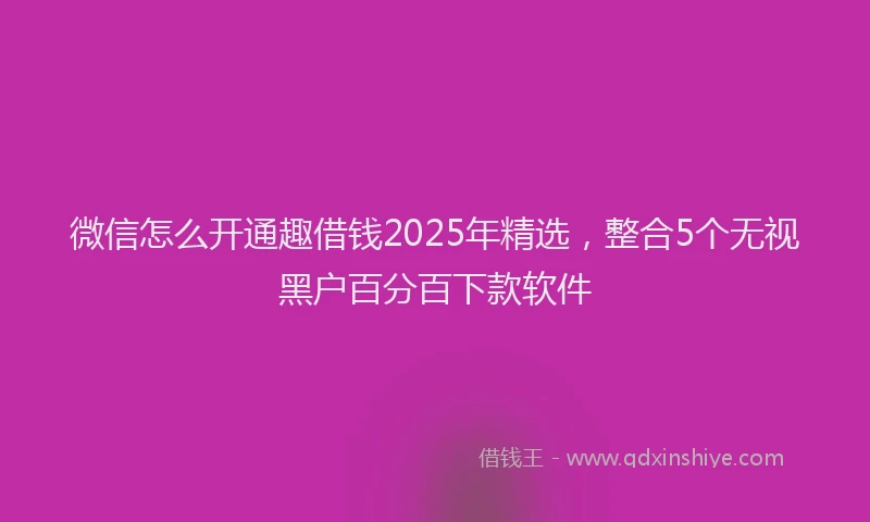 微信怎么开通趣借钱2025年精选，整合5个无视黑户百分百下款软件