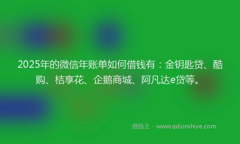 2025年的微信年账单如何借钱有：金钥匙贷、酷购、桔享花、企鹅商城、阿凡达e贷等。