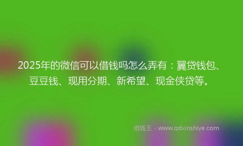 2025年的微信可以借钱吗怎么弄有：翼贷钱包、豆豆钱、现用分期、新希望、现金侠贷等。