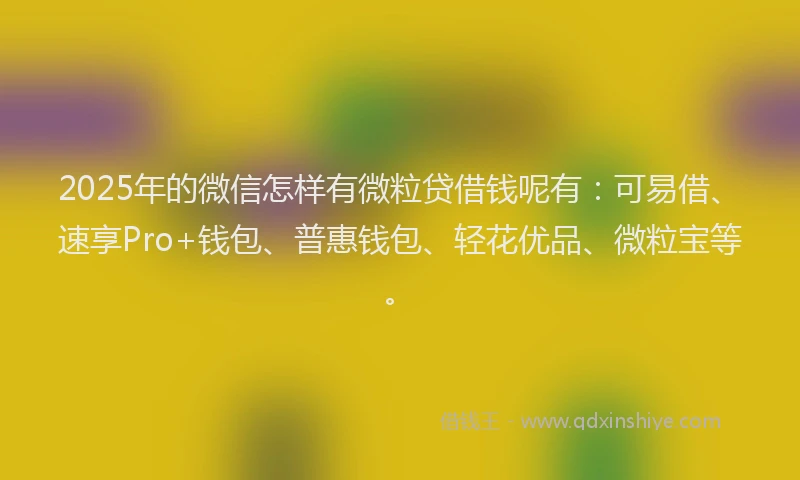 2025年的微信怎样有微粒贷借钱呢有：可易借、速享Pro+钱包、普惠钱包、轻花优品、微粒宝等。