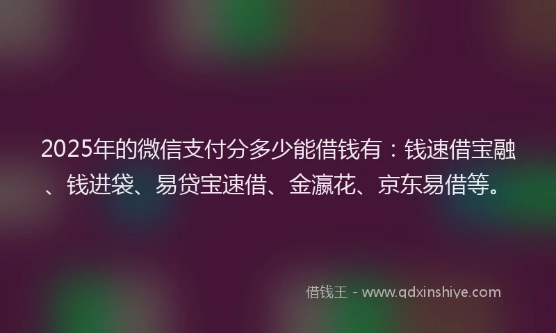 2025年的微信支付分多少能借钱有：钱速借宝融、钱进袋、易贷宝速借、金瀛花、京东易借等。
