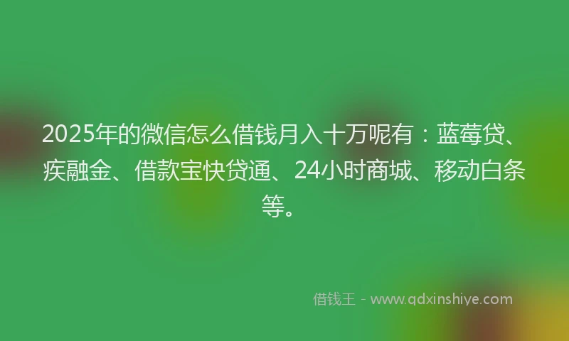 2025年的微信怎么借钱月入十万呢有：蓝莓贷、疾融金、借款宝快贷通、24小时商城、移动白条等。