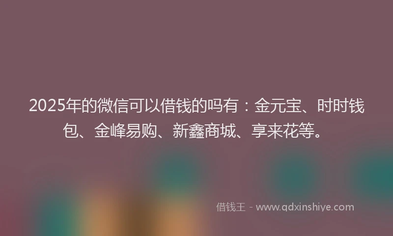 2025年的微信可以借钱的吗有：金元宝、时时钱包、金峰易购、新鑫商城、享来花等。