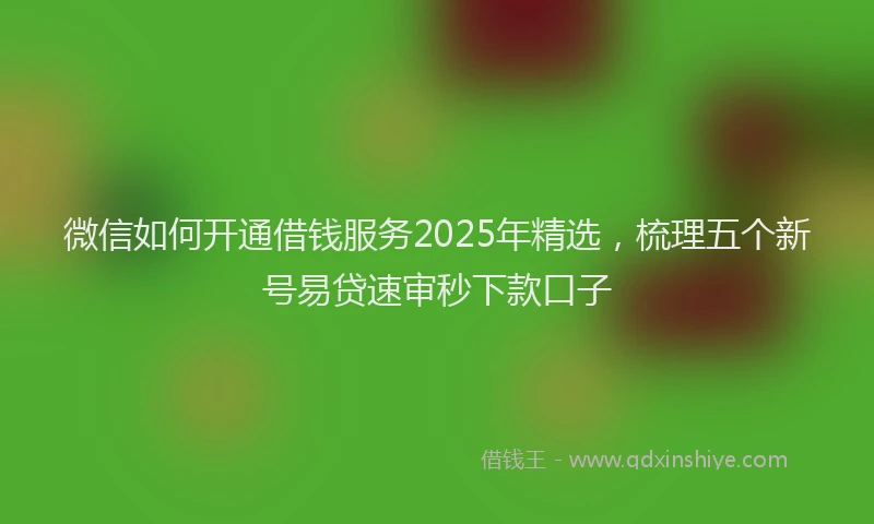 微信如何开通借钱服务2025年精选，梳理五个新号易贷速审秒下款口子