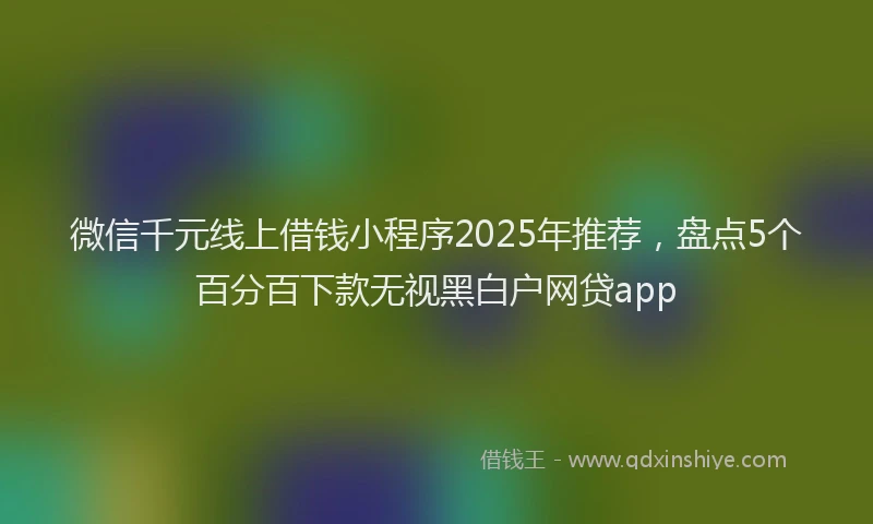 微信千元线上借钱小程序2025年推荐，盘点5个百分百下款无视黑白户网贷app