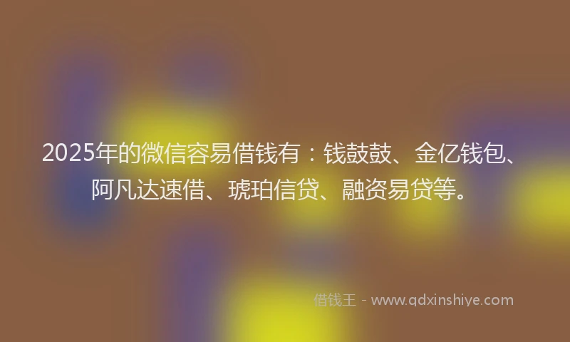 2025年的微信容易借钱有：钱鼓鼓、金亿钱包、阿凡达速借、琥珀信贷、融资易贷等。