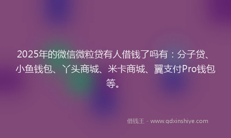 2025年的微信微粒贷有人借钱了吗有：分子贷、小鱼钱包、丫头商城、米卡商城、翼支付Pro钱包等。