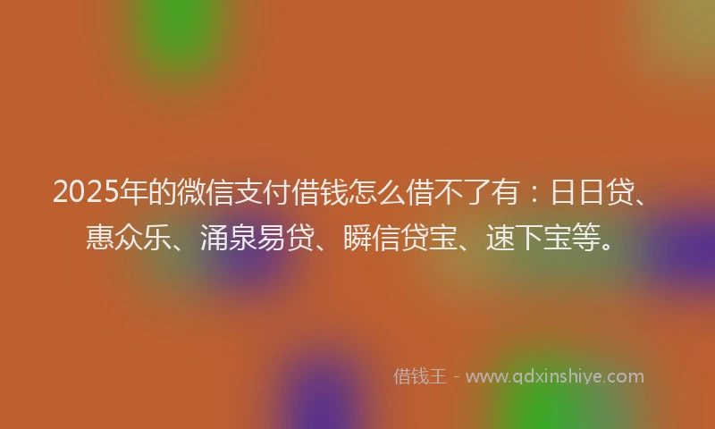 2025年的微信支付借钱怎么借不了有：日日贷、惠众乐、涌泉易贷、瞬信贷宝、速下宝等。