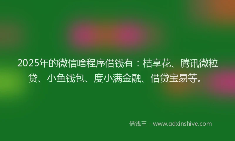 2025年的微信啥程序借钱有：桔享花、腾讯微粒贷、小鱼钱包、度小满金融、借贷宝易等。