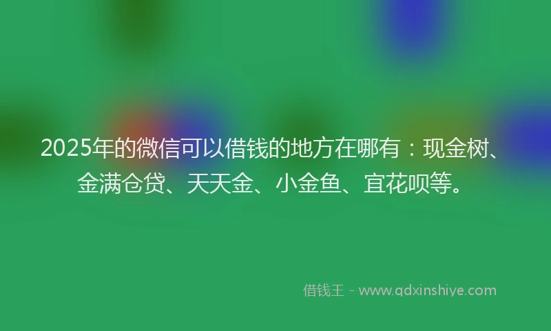 2025年的微信可以借钱的地方在哪有：现金树、金满仓贷、天天金、小金鱼、宜花呗等。