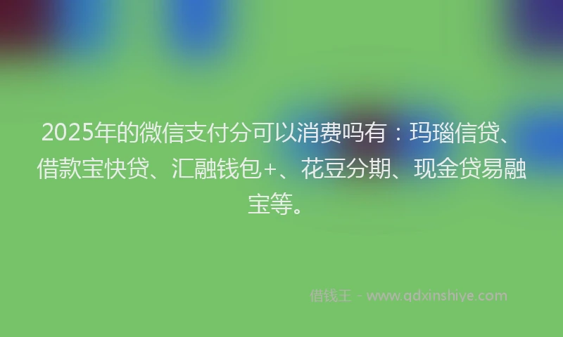 2025年的微信支付分可以消费吗有：玛瑙信贷、借款宝快贷、汇融钱包+、花豆分期、现金贷易融宝等。