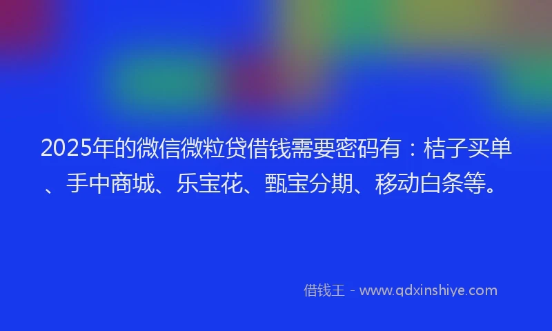 2025年的微信微粒贷借钱需要密码有：桔子买单、手中商城、乐宝花、甄宝分期、移动白条等。