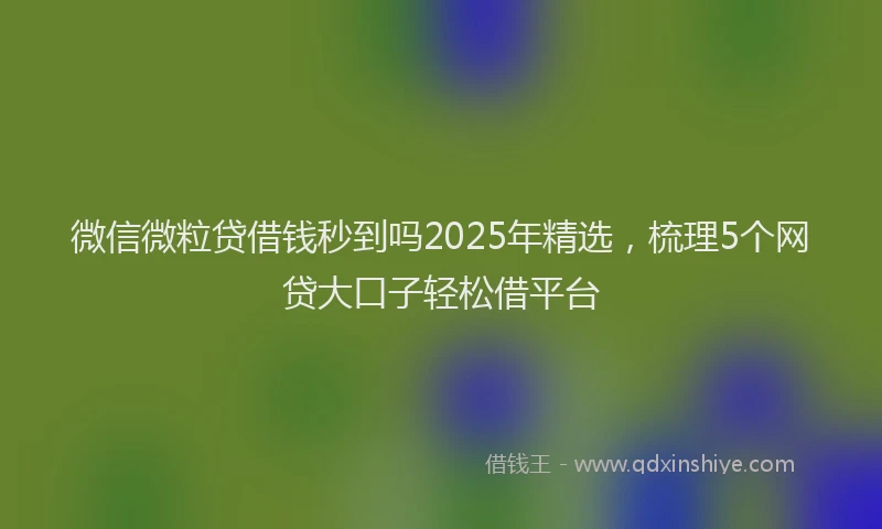 微信微粒贷借钱秒到吗2025年精选，梳理5个网贷大口子轻松借平台
