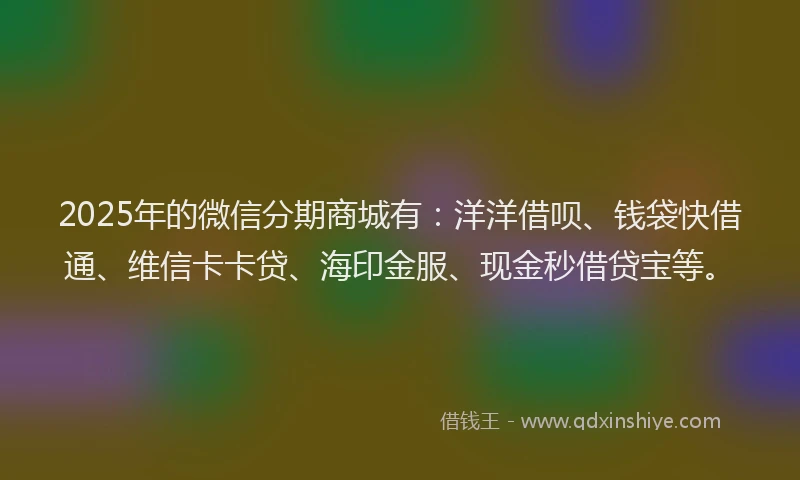 2025年的微信分期商城有：洋洋借呗、钱袋快借通、维信卡卡贷、海印金服、现金秒借贷宝等。