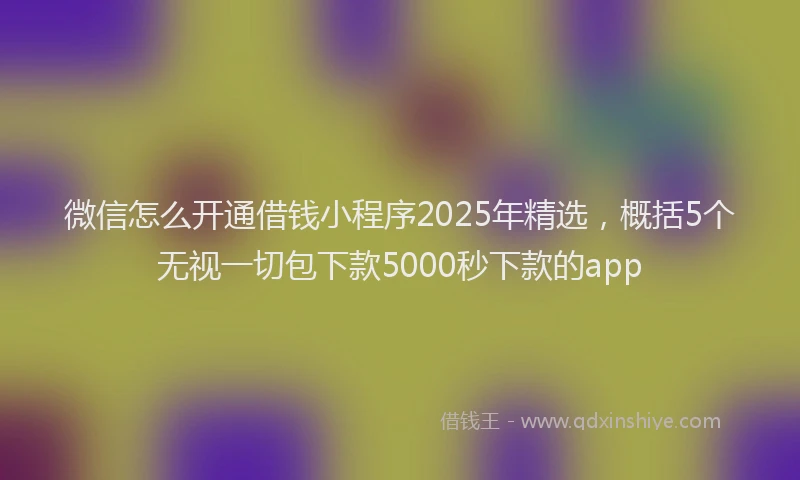 微信怎么开通借钱小程序2025年精选，概括5个无视一切包下款5000秒下款的app