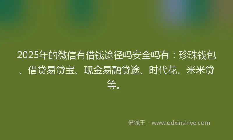 2025年的微信有借钱途径吗安全吗有：珍珠钱包、借贷易贷宝、现金易融贷途、时代花、米米贷等。