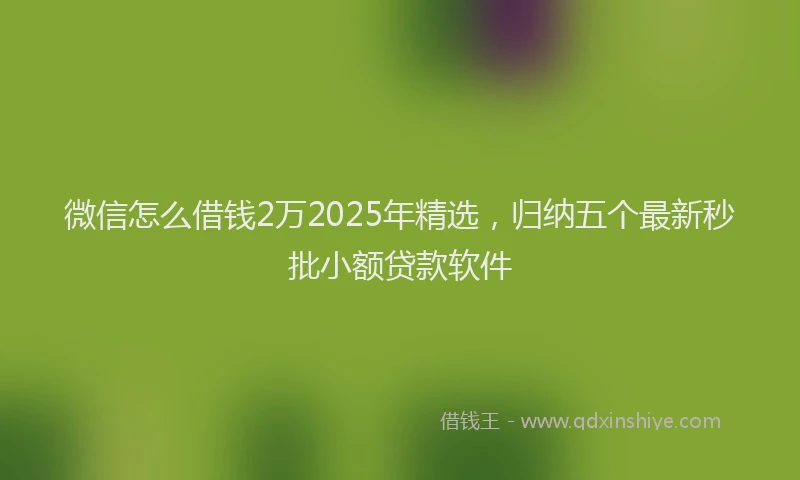 微信怎么借钱2万2025年精选，归纳五个最新秒批小额贷款软件