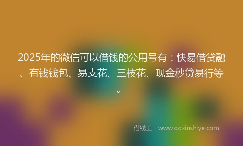 2025年的微信可以借钱的公用号有：快易借贷融、有钱钱包、易支花、三枝花、现金秒贷易行等。