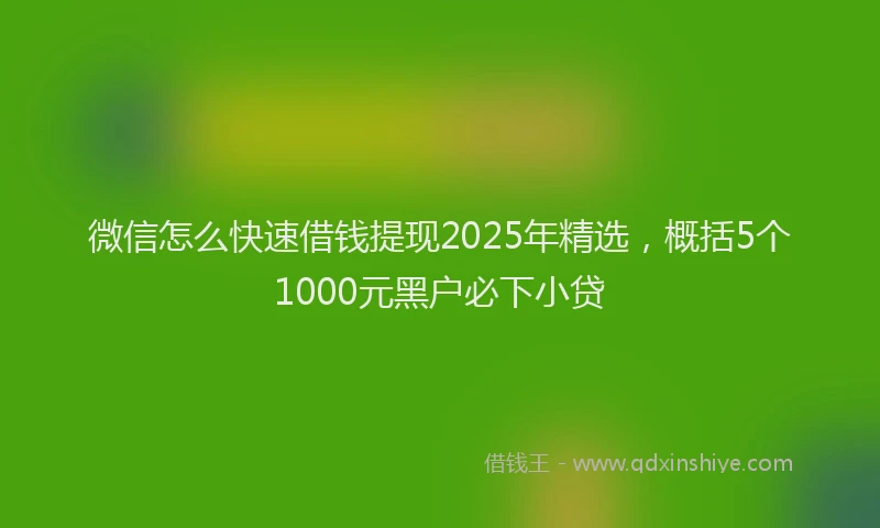 微信怎么快速借钱提现2025年精选，概括5个1000元黑户必下小贷