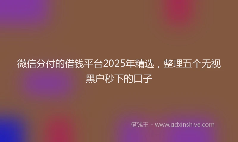 微信分付的借钱平台2025年精选，整理五个无视黑户秒下的口子
