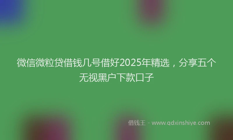 微信微粒贷借钱几号借好2025年精选，分享五个无视黑户下款口子