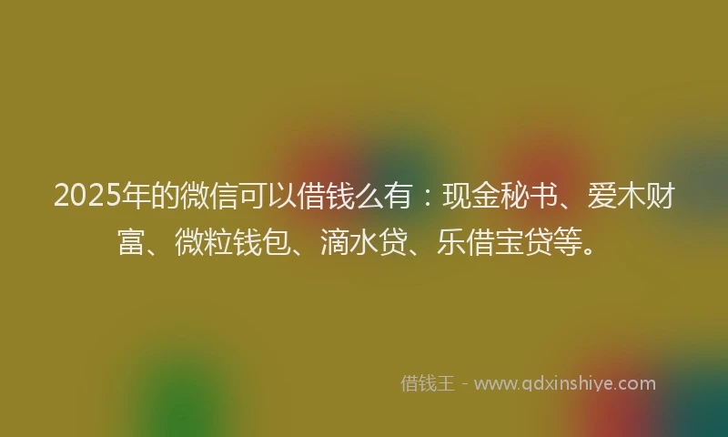 2025年的微信可以借钱么有：现金秘书、爱木财富、微粒钱包、滴水贷、乐借宝贷等。