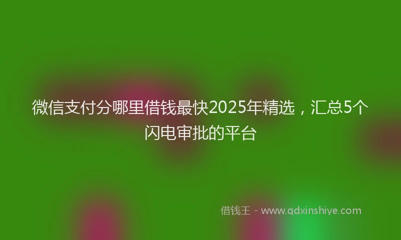 微信支付分哪里借钱最快2025年精选，汇总5个闪电审批的平台
