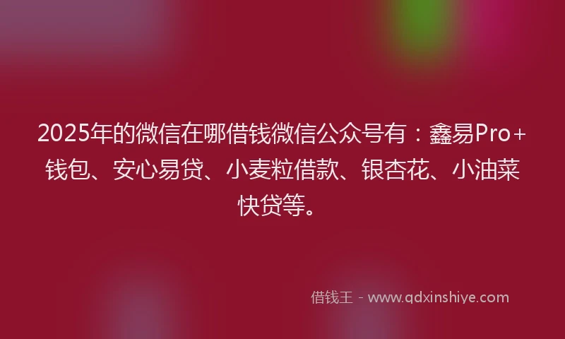 2025年的微信在哪借钱微信公众号有：鑫易Pro+钱包、安心易贷、小麦粒借款、银杏花、小油菜快贷等。