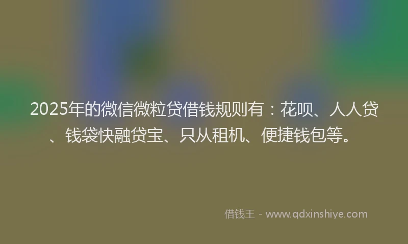 2025年的微信微粒贷借钱规则有：花呗、人人贷、钱袋快融贷宝、只从租机、便捷钱包等。