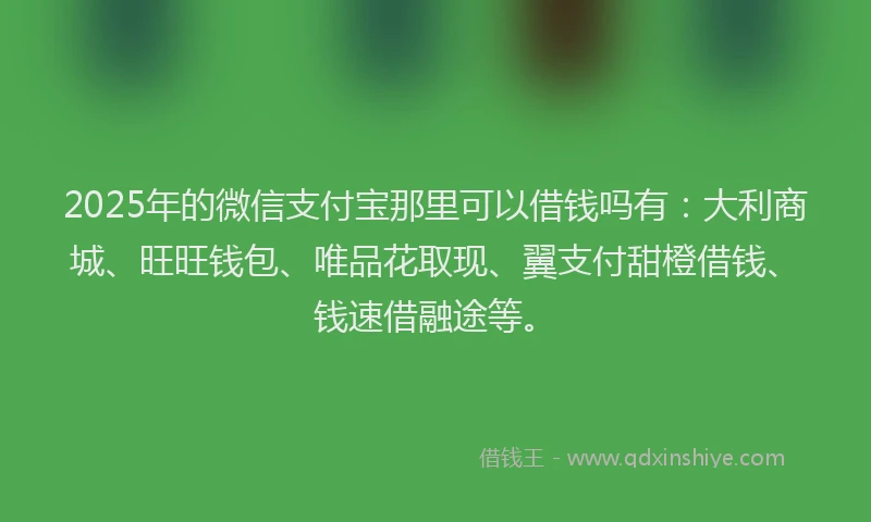 2025年的微信支付宝那里可以借钱吗有：大利商城、旺旺钱包、唯品花取现、翼支付甜橙借钱、钱速借融途等。