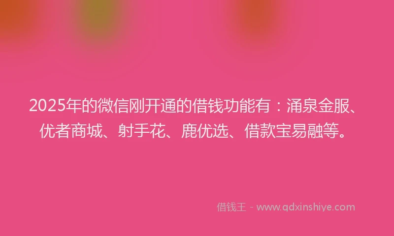 2025年的微信刚开通的借钱功能有：涌泉金服、优者商城、射手花、鹿优选、借款宝易融等。