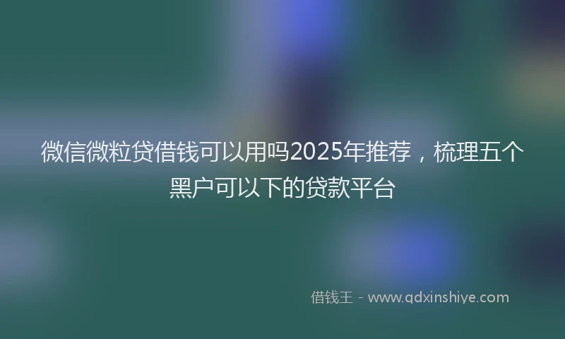 微信微粒贷借钱可以用吗2025年推荐，梳理五个黑户可以下的贷款平台