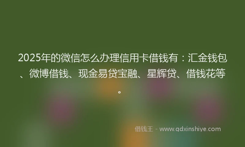 2025年的微信怎么办理信用卡借钱有：汇金钱包、微博借钱、现金易贷宝融、星辉贷、借钱花等。