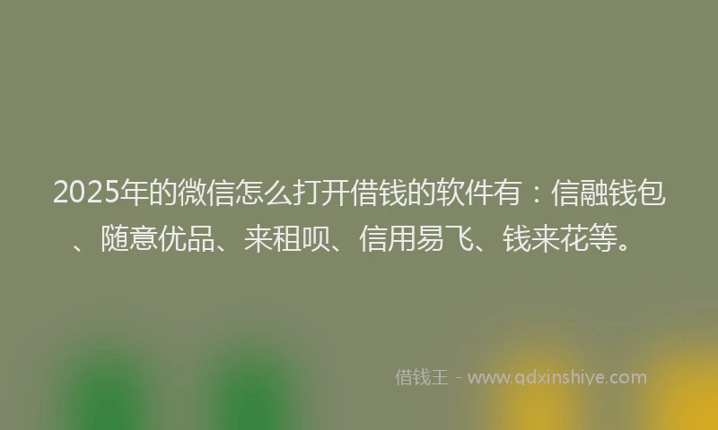 2025年的微信怎么打开借钱的软件有：信融钱包、随意优品、来租呗、信用易飞、钱来花等。