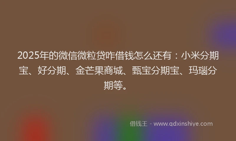 2025年的微信微粒贷咋借钱怎么还有：小米分期宝、好分期、金芒果商城、甄宝分期宝、玛瑙分期等。
