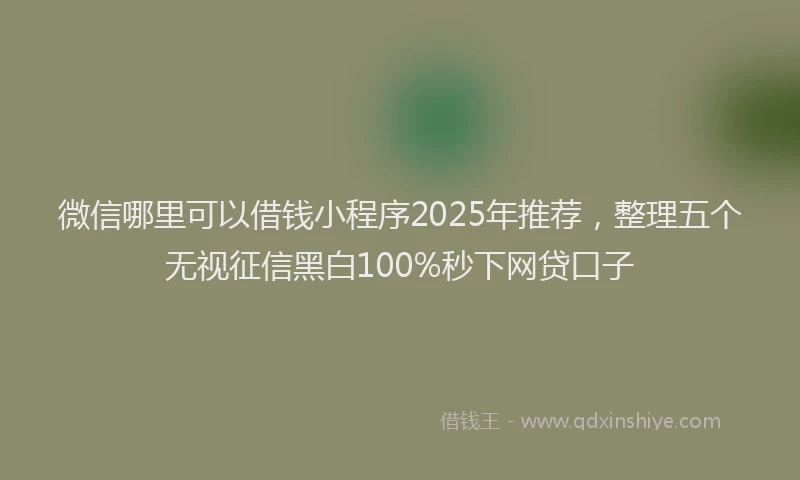 微信哪里可以借钱小程序2025年推荐，整理五个无视征信黑白100%秒下网贷口子