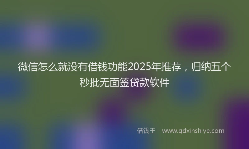 微信怎么就没有借钱功能2025年推荐，归纳五个秒批无面签贷款软件