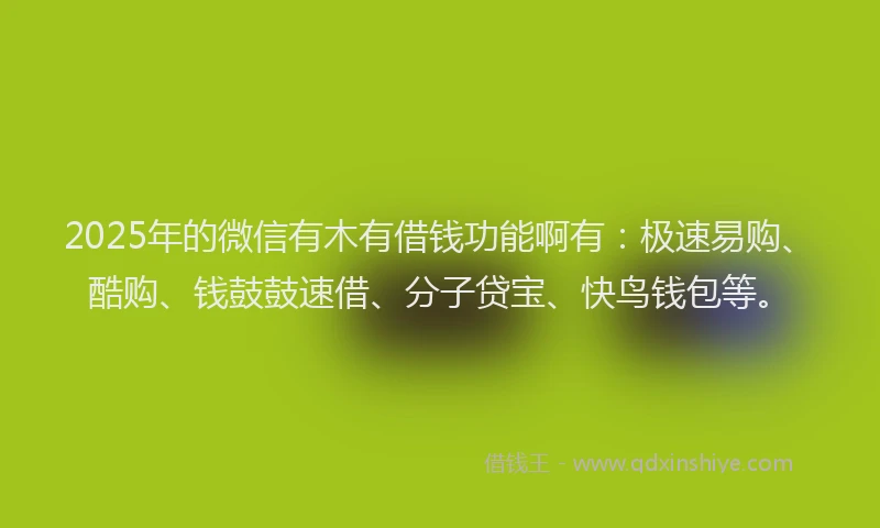 2025年的微信有木有借钱功能啊有：极速易购、酷购、钱鼓鼓速借、分子贷宝、快鸟钱包等。