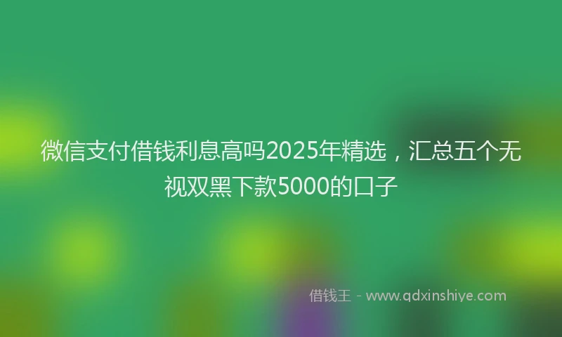 微信支付借钱利息高吗2025年精选，汇总五个无视双黑下款5000的口子