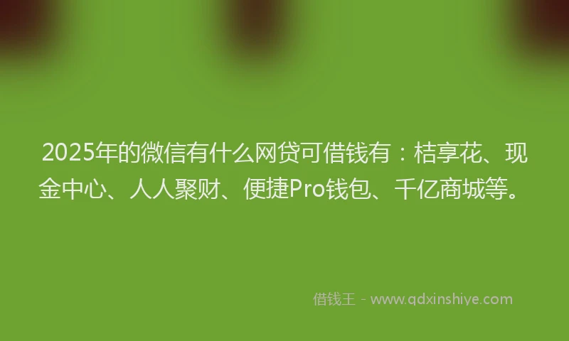2025年的微信有什么网贷可借钱有：桔享花、现金中心、人人聚财、便捷Pro钱包、千亿商城等。