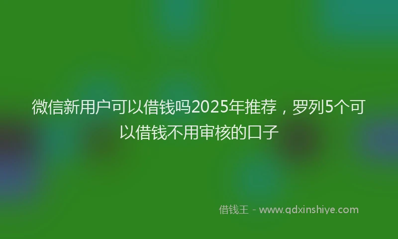 微信新用户可以借钱吗2025年推荐，罗列5个可以借钱不用审核的口子