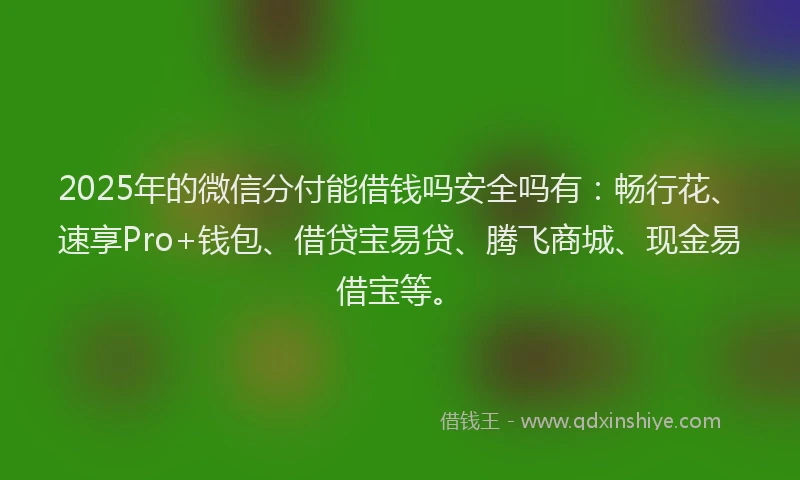 2025年的微信分付能借钱吗安全吗有：畅行花、速享Pro+钱包、借贷宝易贷、腾飞商城、现金易借宝等。