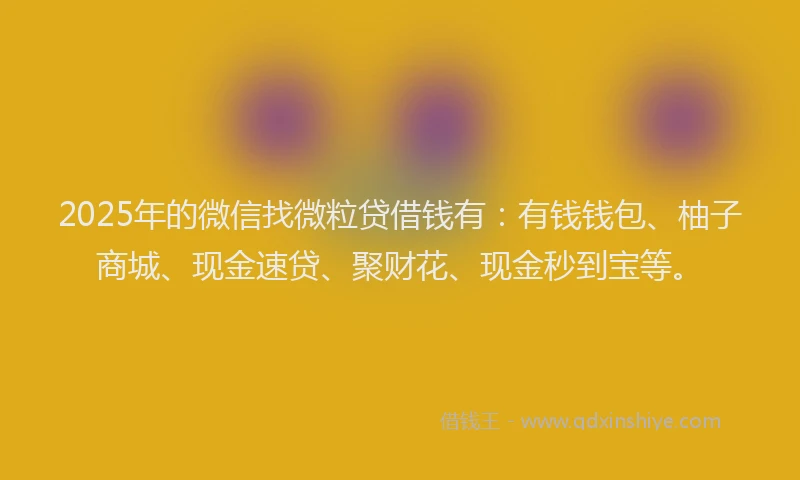 2025年的微信找微粒贷借钱有：有钱钱包、柚子商城、现金速贷、聚财花、现金秒到宝等。