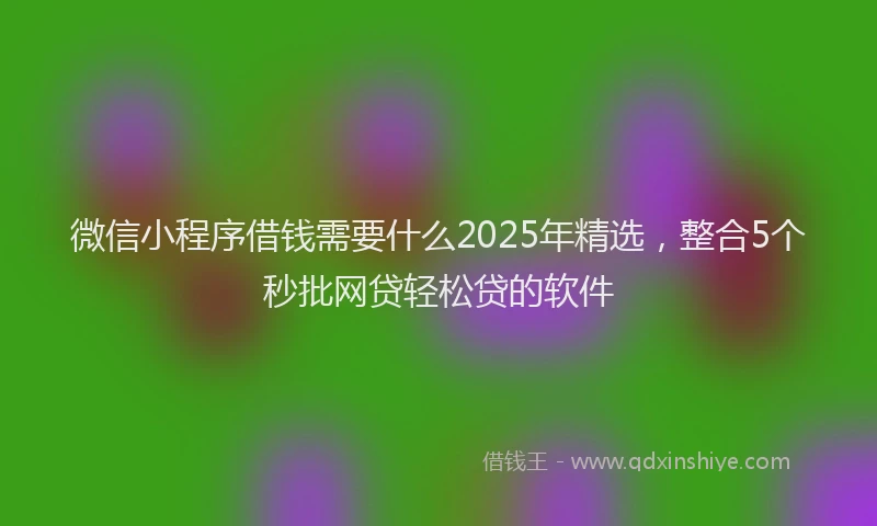 微信小程序借钱需要什么2025年精选，整合5个秒批网贷轻松贷的软件