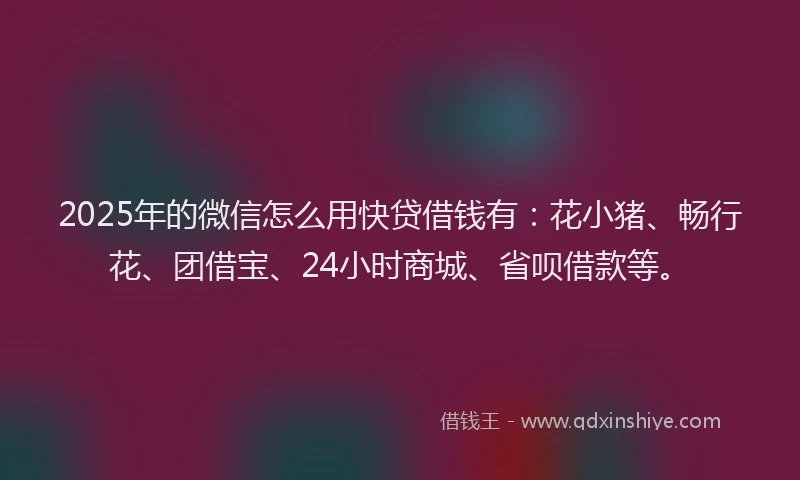 2025年的微信怎么用快贷借钱有：花小猪、畅行花、团借宝、24小时商城、省呗借款等。