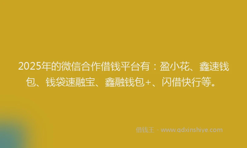 2025年的微信合作借钱平台有：盈小花、鑫速钱包、钱袋速融宝、鑫融钱包+、闪借快行等。