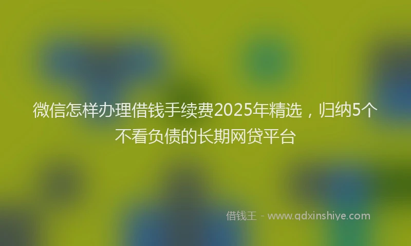微信怎样办理借钱手续费2025年精选，归纳5个不看负债的长期网贷平台