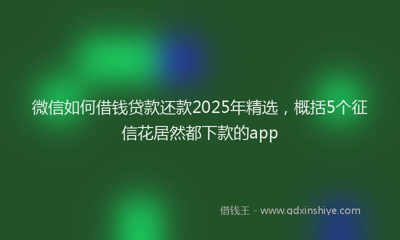 微信如何借钱贷款还款2025年精选，概括5个征信花居然都下款的app