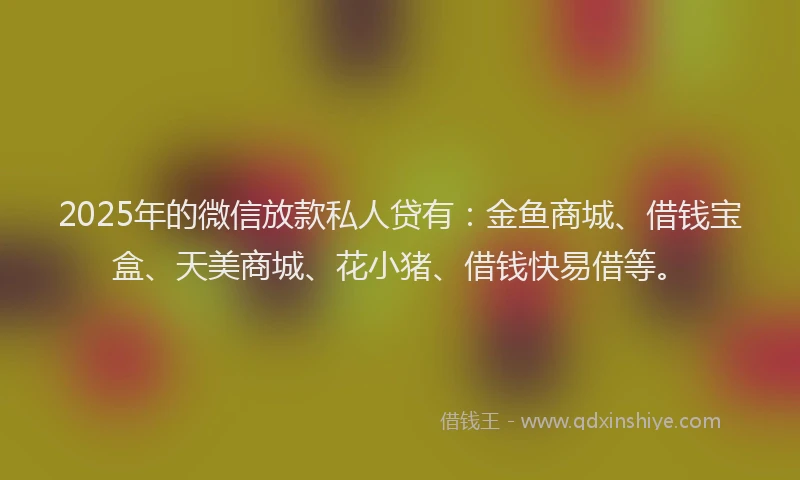 2025年的微信放款私人贷有：金鱼商城、借钱宝盒、天美商城、花小猪、借钱快易借等。