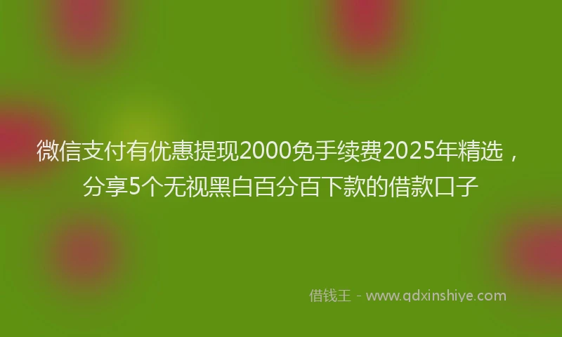 微信支付有优惠提现2000免手续费2025年精选，分享5个无视黑白百分百下款的借款口子